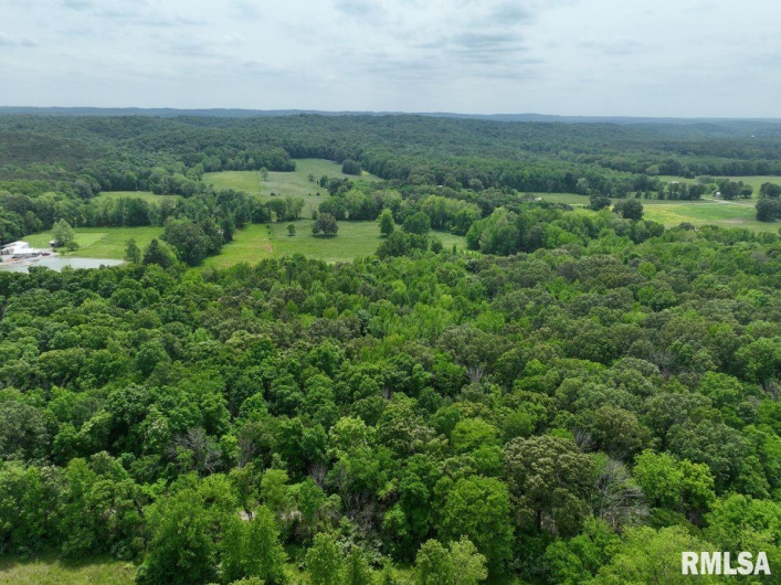 002 Battleford Road, Stonefort, Illinois 62987, 0 , 0 ,0,Land,For Sale,Battleford,0,RMACA1036800