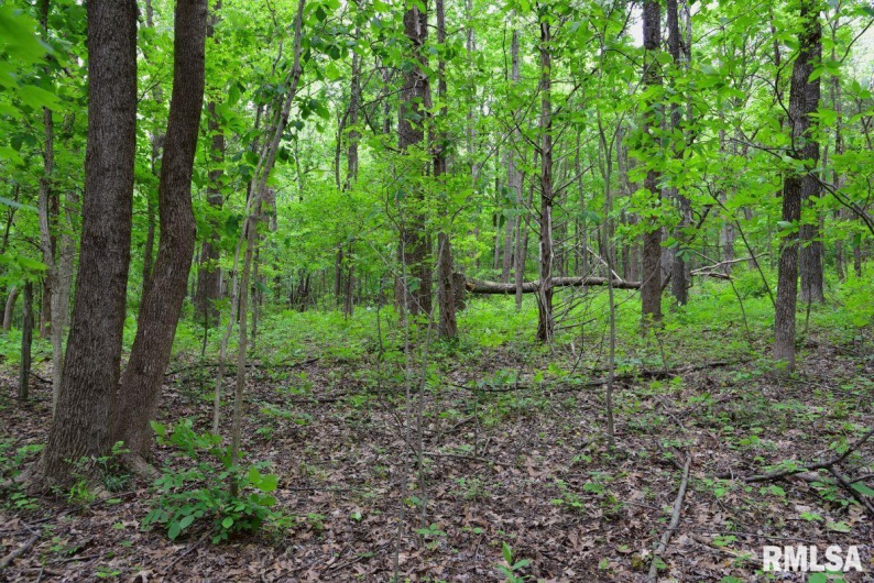 002 Battleford Road, Stonefort, Illinois 62987, 0 , 0 ,0,Land,For Sale,Battleford,0,RMACA1036800