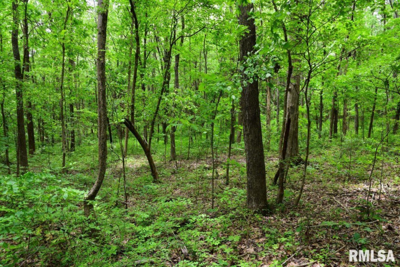 002 Battleford Road, Stonefort, Illinois 62987, 0 , 0 ,0,Land,For Sale,Battleford,0,RMACA1036800