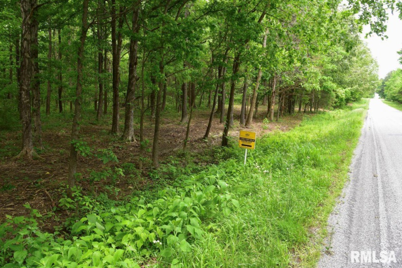 002 Battleford Road, Stonefort, Illinois 62987, 0 , 0 ,0,Land,For Sale,Battleford,0,RMACA1036800