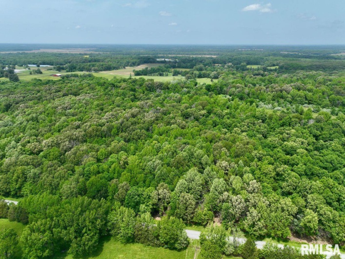 002 Battleford Road, Stonefort, Illinois 62987, 0 , 0 ,0,Land,For Sale,Battleford,0,RMACA1036800