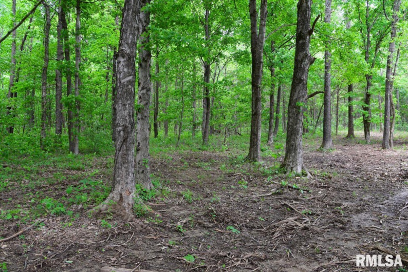002 Battleford Road, Stonefort, Illinois 62987, 0 , 0 ,0,Land,For Sale,Battleford,0,RMACA1036800