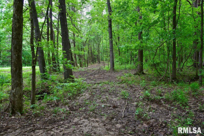 002 Battleford Road, Stonefort, Illinois 62987, 0 , 0 ,0,Land,For Sale,Battleford,0,RMACA1036800