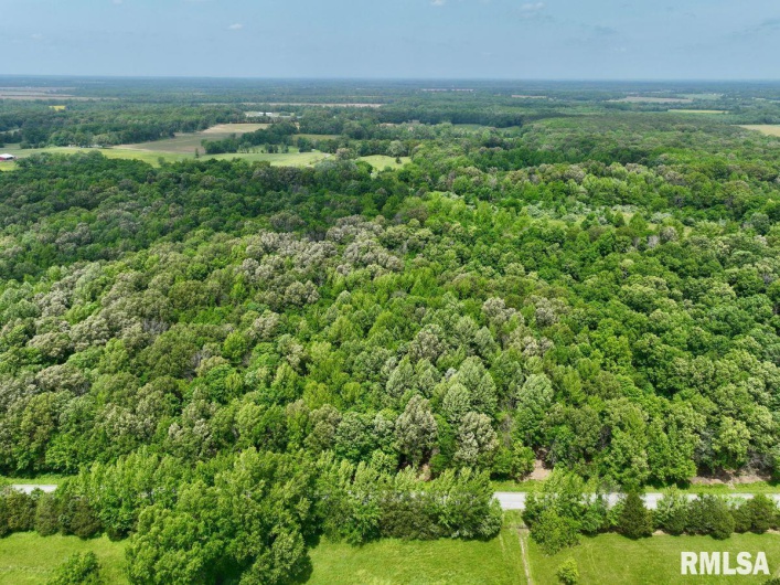 002 Battleford Road, Stonefort, Illinois 62987, 0 , 0 ,0,Land,For Sale,Battleford,0,RMACA1036800