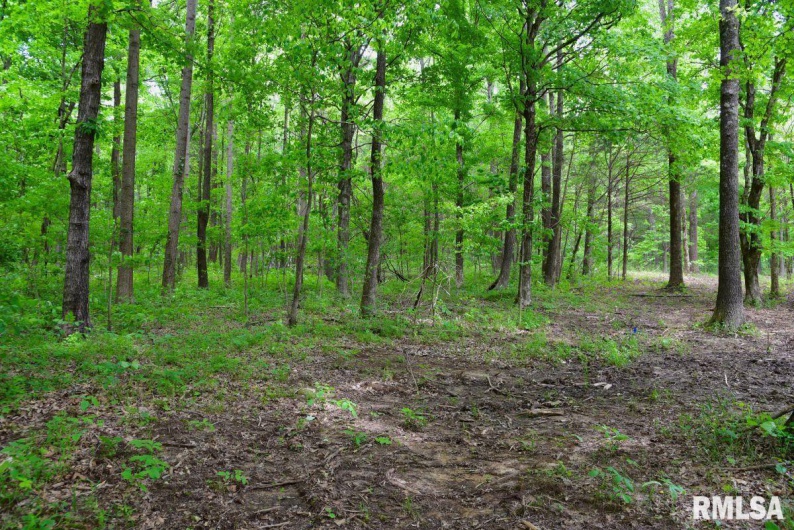 002 Battleford Road, Stonefort, Illinois 62987, 0 , 0 ,0,Land,For Sale,Battleford,0,RMACA1036800