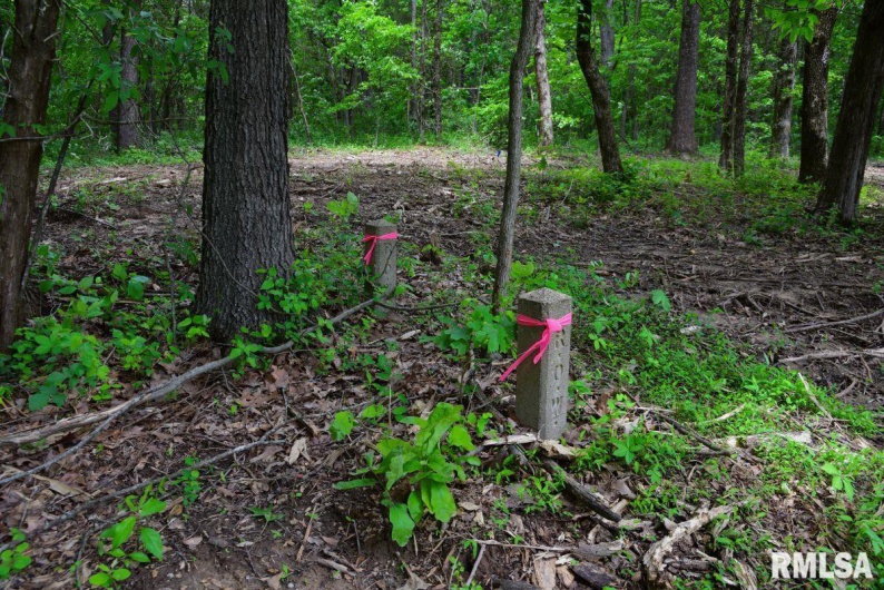 002 Battleford Road, Stonefort, Illinois 62987, 0 , 0 ,0,Land,For Sale,Battleford,0,RMACA1036800