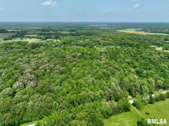 002 Battleford Road, Stonefort, Illinois 62987, 0 , 0 ,0,Land,For Sale,Battleford,0,RMACA1036800