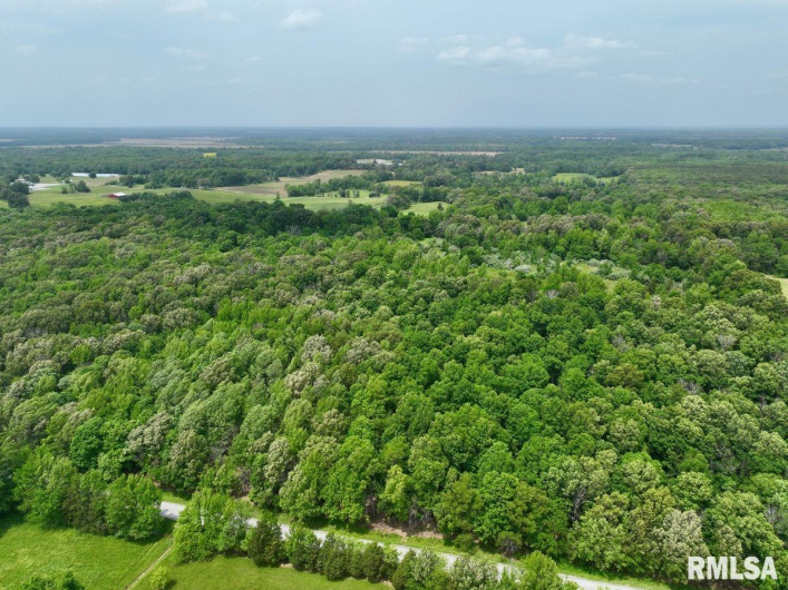 003 Battleford Road, Stonefort, Illinois 62987, 0 , 0 ,0,Land,For Sale,Battleford,0,RMACA1036801