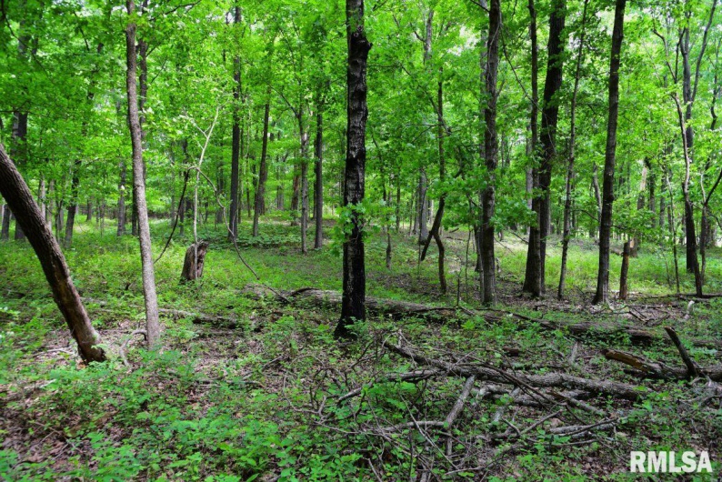 003 Battleford Road, Stonefort, Illinois 62987, 0 , 0 ,0,Land,For Sale,Battleford,0,RMACA1036801