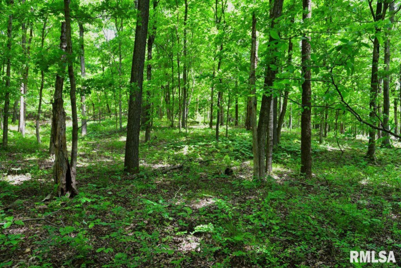 003 Battleford Road, Stonefort, Illinois 62987, 0 , 0 ,0,Land,For Sale,Battleford,0,RMACA1036801