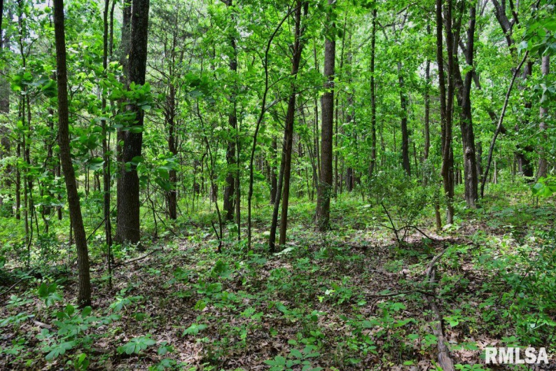 003 Battleford Road, Stonefort, Illinois 62987, 0 , 0 ,0,Land,For Sale,Battleford,0,RMACA1036801