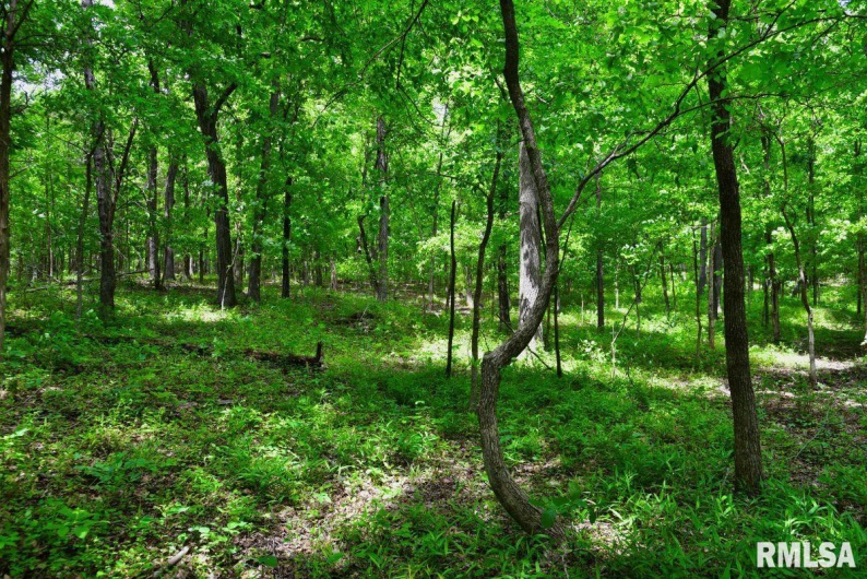 003 Battleford Road, Stonefort, Illinois 62987, 0 , 0 ,0,Land,For Sale,Battleford,0,RMACA1036801
