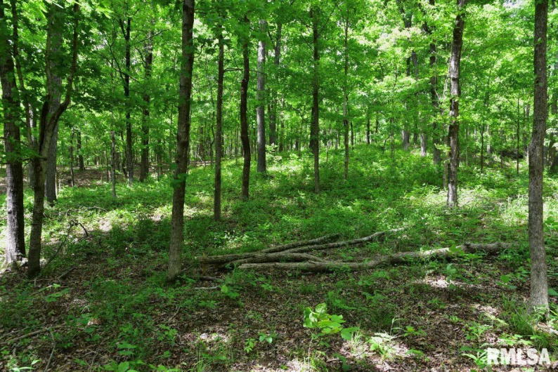 003 Battleford Road, Stonefort, Illinois 62987, 0 , 0 ,0,Land,For Sale,Battleford,0,RMACA1036801