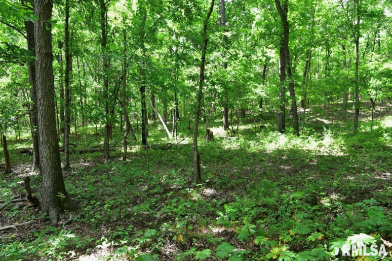 003 Battleford Road, Stonefort, Illinois 62987, 0 , 0 ,0,Land,For Sale,Battleford,0,RMACA1036801