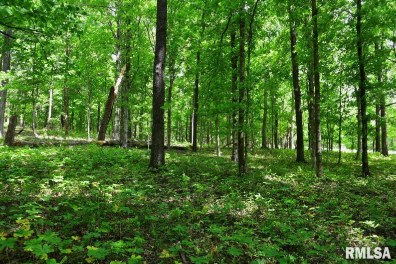 003 Battleford Road, Stonefort, Illinois 62987, 0 , 0 ,0,Land,For Sale,Battleford,0,RMACA1036801