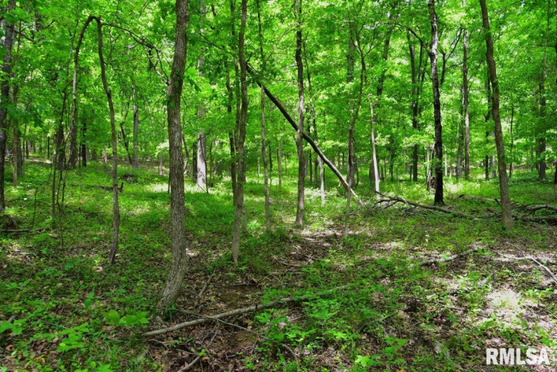 003 Battleford Road, Stonefort, Illinois 62987, 0 , 0 ,0,Land,For Sale,Battleford,0,RMACA1036801