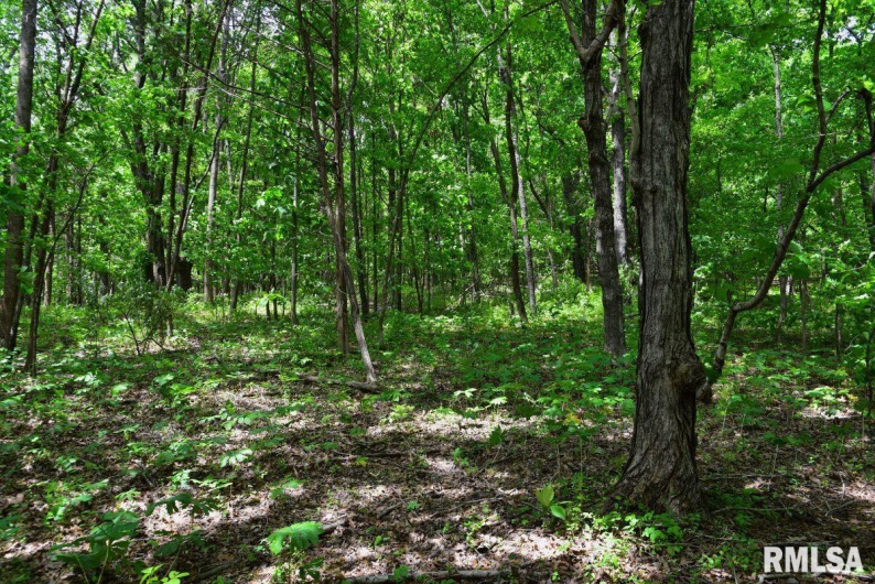 003 Battleford Road, Stonefort, Illinois 62987, 0 , 0 ,0,Land,For Sale,Battleford,0,RMACA1036801