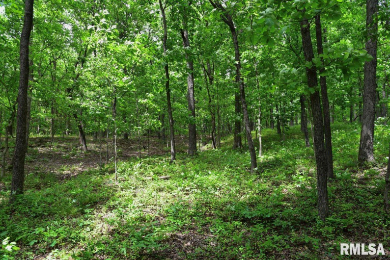 003 Battleford Road, Stonefort, Illinois 62987, 0 , 0 ,0,Land,For Sale,Battleford,0,RMACA1036801