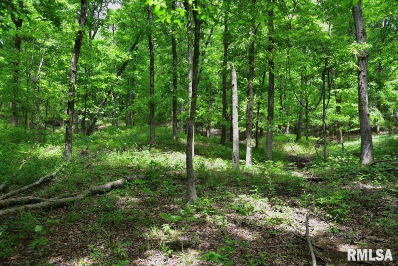 003 Battleford Road, Stonefort, Illinois 62987, 0 , 0 ,0,Land,For Sale,Battleford,0,RMACA1036801