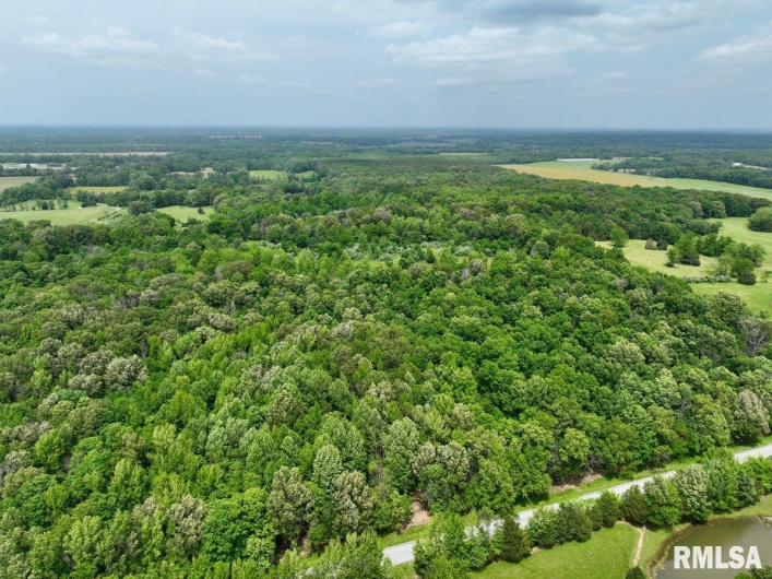 003 Battleford Road, Stonefort, Illinois 62987, 0 , 0 ,0,Land,For Sale,Battleford,0,RMACA1036801