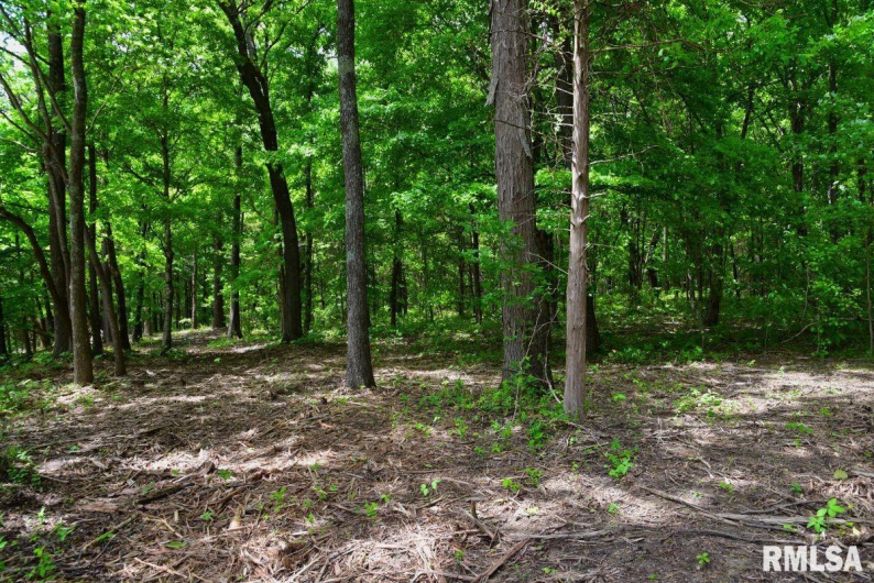 003 Battleford Road, Stonefort, Illinois 62987, 0 , 0 ,0,Land,For Sale,Battleford,0,RMACA1036801