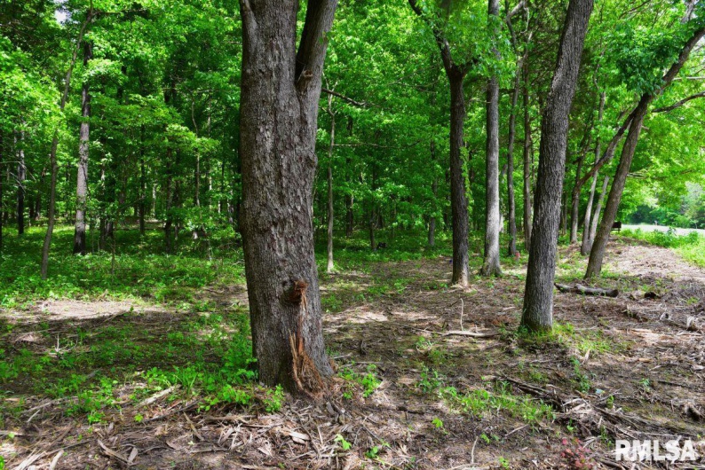 003 Battleford Road, Stonefort, Illinois 62987, 0 , 0 ,0,Land,For Sale,Battleford,0,RMACA1036801