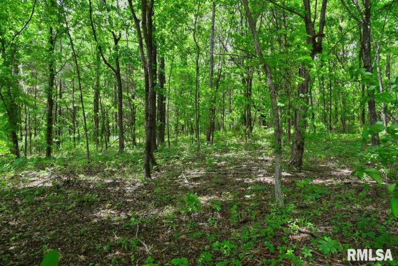 003 Battleford Road, Stonefort, Illinois 62987, 0 , 0 ,0,Land,For Sale,Battleford,0,RMACA1036801