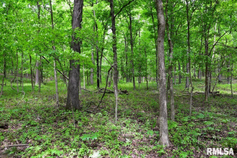 003 Battleford Road, Stonefort, Illinois 62987, 0 , 0 ,0,Land,For Sale,Battleford,0,RMACA1036801