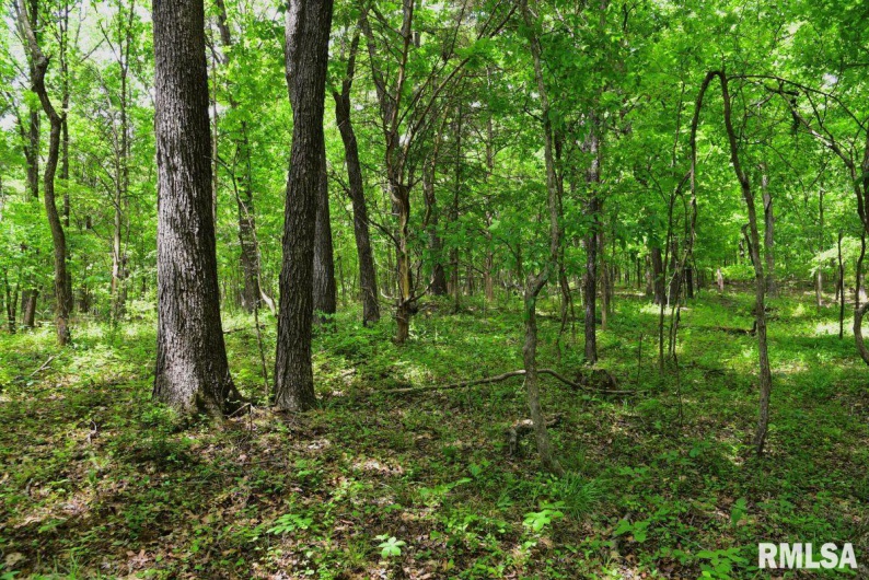 003 Battleford Road, Stonefort, Illinois 62987, 0 , 0 ,0,Land,For Sale,Battleford,0,RMACA1036801