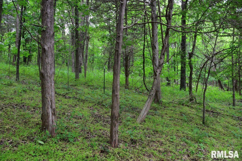 007 Battleford Road, Stonefort, Illinois 62987, 0 , 0 ,0,Land,For Sale,Battleford,0,RMACA1036805