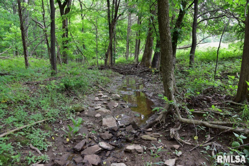 007 Battleford Road, Stonefort, Illinois 62987, 0 , 0 ,0,Land,For Sale,Battleford,0,RMACA1036805