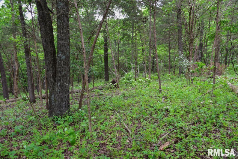 007 Battleford Road, Stonefort, Illinois 62987, 0 , 0 ,0,Land,For Sale,Battleford,0,RMACA1036805