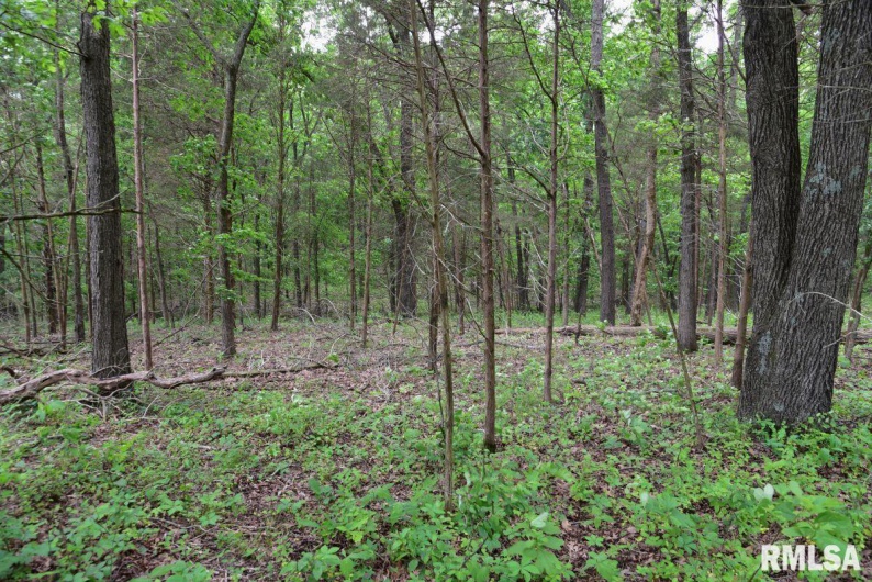 007 Battleford Road, Stonefort, Illinois 62987, 0 , 0 ,0,Land,For Sale,Battleford,0,RMACA1036805