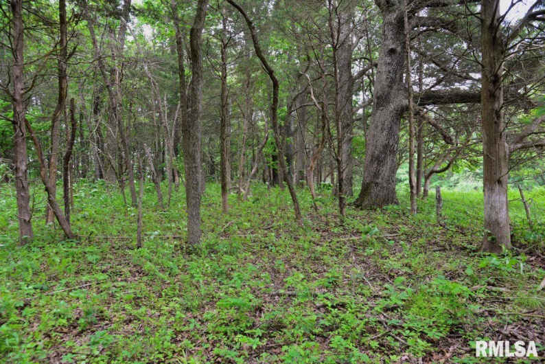 007 Battleford Road, Stonefort, Illinois 62987, 0 , 0 ,0,Land,For Sale,Battleford,0,RMACA1036805