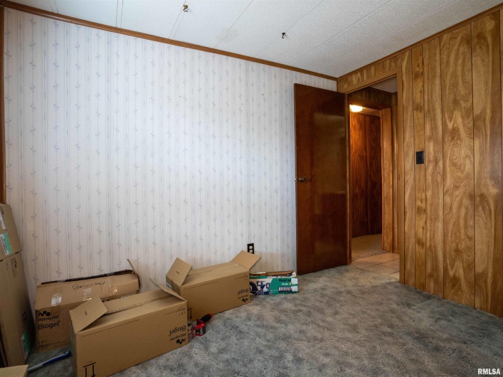 1 WILLOW Lane, DeSoto, Illinois 62924, 3 Bedrooms Bedrooms, 0 ,2 BathroomsBathrooms,Residential,For Sale,WILLOW,0,RMAEB458198