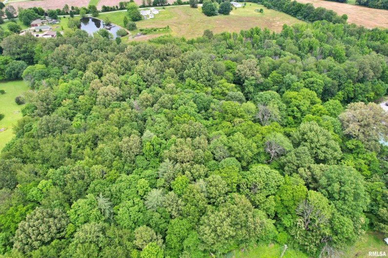 6251 US 45 Road, Brookport, Illinois 62910, 0 , 0 ,0,Land,For Sale,US 45,0,RMAEB458216