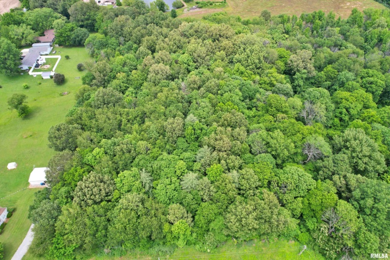 6251 US 45 Road, Brookport, Illinois 62910, 0 , 0 ,0,Land,For Sale,US 45,0,RMAEB458216