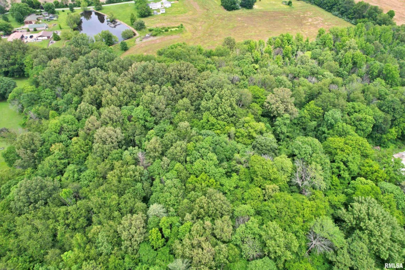 6251 US 45 Road, Brookport, Illinois 62910, 0 , 0 ,0,Land,For Sale,US 45,0,RMAEB458216