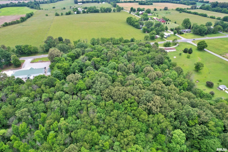 6251 US 45 Road, Brookport, Illinois 62910, 0 , 0 ,0,Land,For Sale,US 45,0,RMAEB458216
