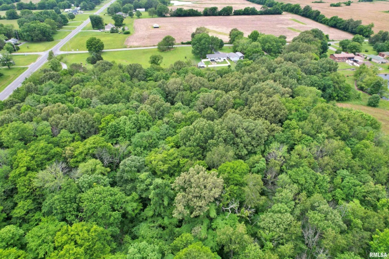 6251 US 45 Road, Brookport, Illinois 62910, 0 , 0 ,0,Land,For Sale,US 45,0,RMAEB458216