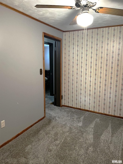 1210 PETERSON Avenue, Johnston City, Illinois 62951, 2 Bedrooms Bedrooms, 0 ,1 BathroomBathrooms,Residential,For Sale,PETERSON,0,RMAQC4263893