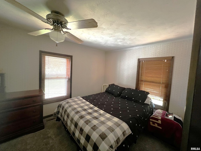 1210 PETERSON Avenue, Johnston City, Illinois 62951, 2 Bedrooms Bedrooms, 0 ,1 BathroomBathrooms,Residential,For Sale,PETERSON,0,RMAQC4263893