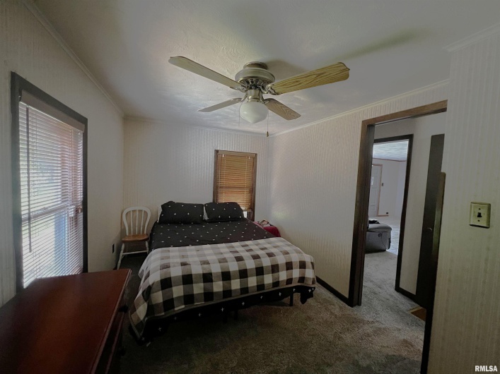1210 PETERSON Avenue, Johnston City, Illinois 62951, 2 Bedrooms Bedrooms, 0 ,1 BathroomBathrooms,Residential,For Sale,PETERSON,0,RMAQC4263893