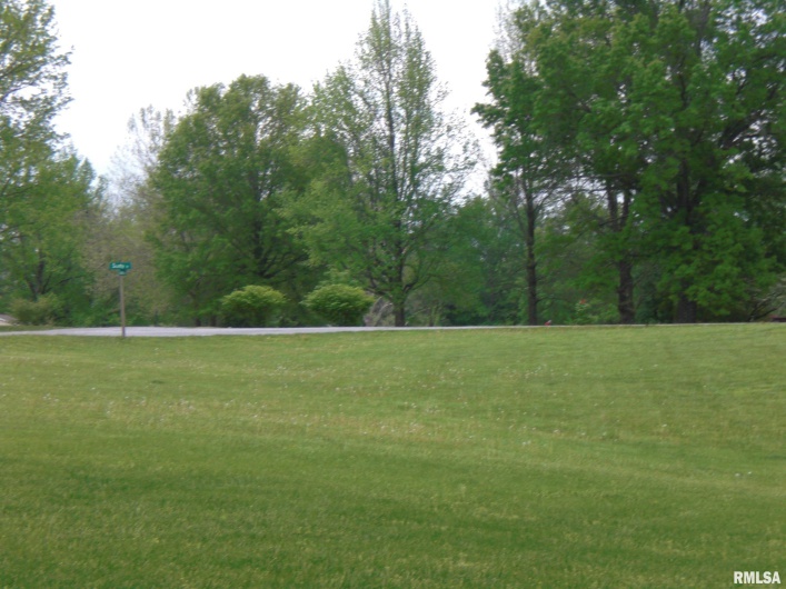 Lot 22 Scotty Drive, Carbondale, Illinois 62903, 0 , 0 ,0,Land,For Sale,Scotty,0,RMAEB458246
