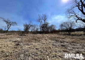 4 LOTS ELM Drive, Mill Creek, Illinois 62961, 0 , 0 ,0,Land,For Sale,ELM,0,RMAEB453189