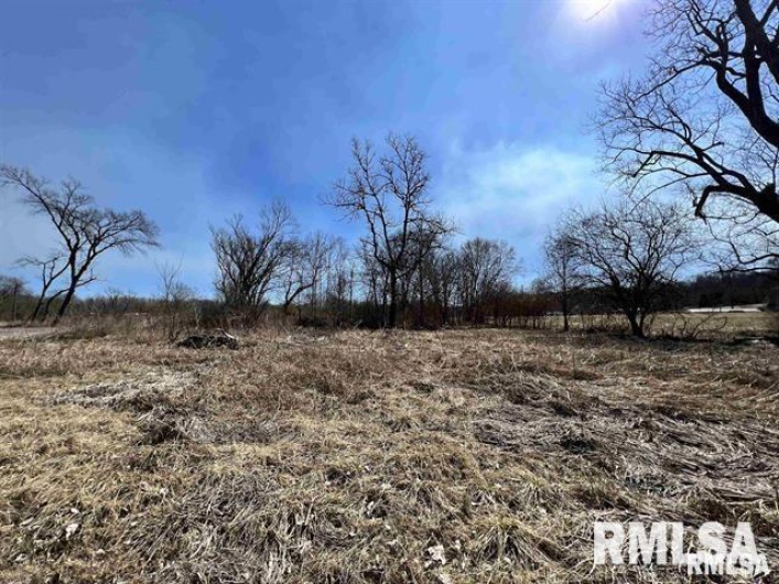 4 LOTS ELM Drive, Mill Creek, Illinois 62961, 0 , 0 ,0,Land,For Sale,ELM,0,RMAEB453189