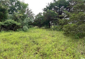 Lot 211 CHEROKEE Drive, Goreville, Illinois 62939, 0 , 0 ,0,Land,For Sale,CHEROKEE,0,RMAEB458273