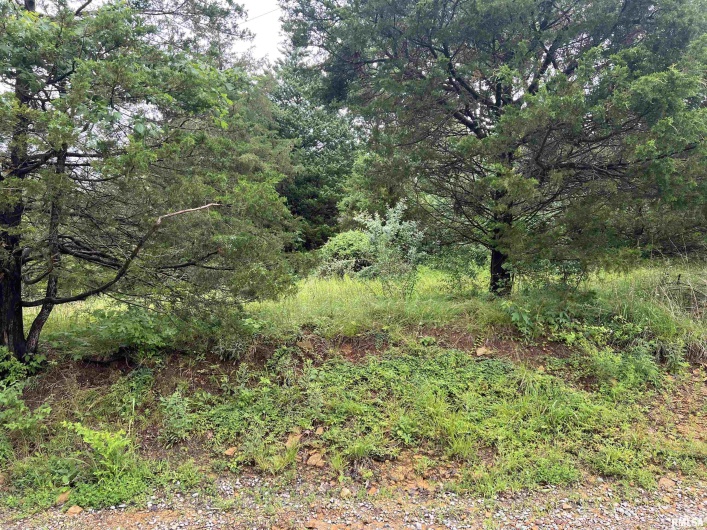 Lot 211 CHEROKEE Drive, Goreville, Illinois 62939, 0 , 0 ,0,Land,For Sale,CHEROKEE,0,RMAEB458273