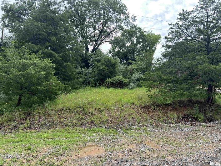 Lot 211 CHEROKEE Drive, Goreville, Illinois 62939, 0 , 0 ,0,Land,For Sale,CHEROKEE,0,RMAEB458273