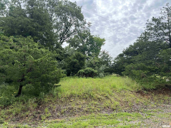 Lot 211 CHEROKEE Drive, Goreville, Illinois 62939, 0 , 0 ,0,Land,For Sale,CHEROKEE,0,RMAEB458273